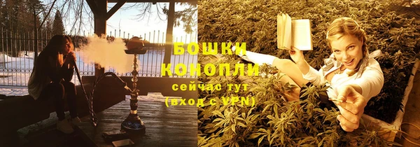 трава Наволоки