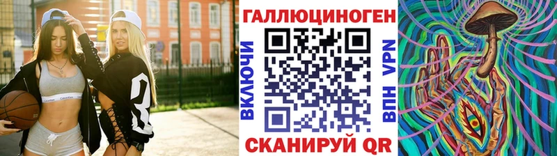 Галлюциногенные грибы Psilocybe  Новокубанск 