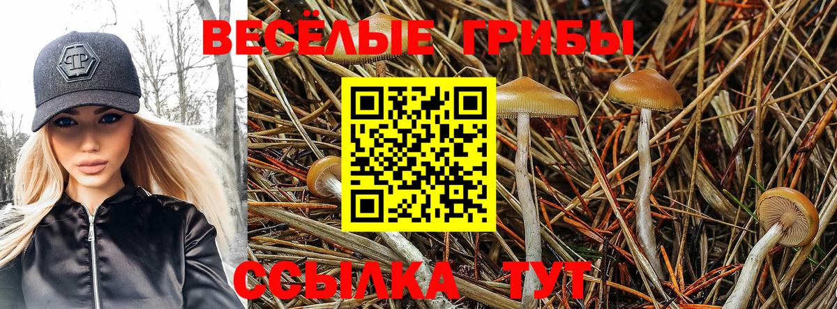 Псилоцибиновые грибы Magic Shrooms Новокубанск