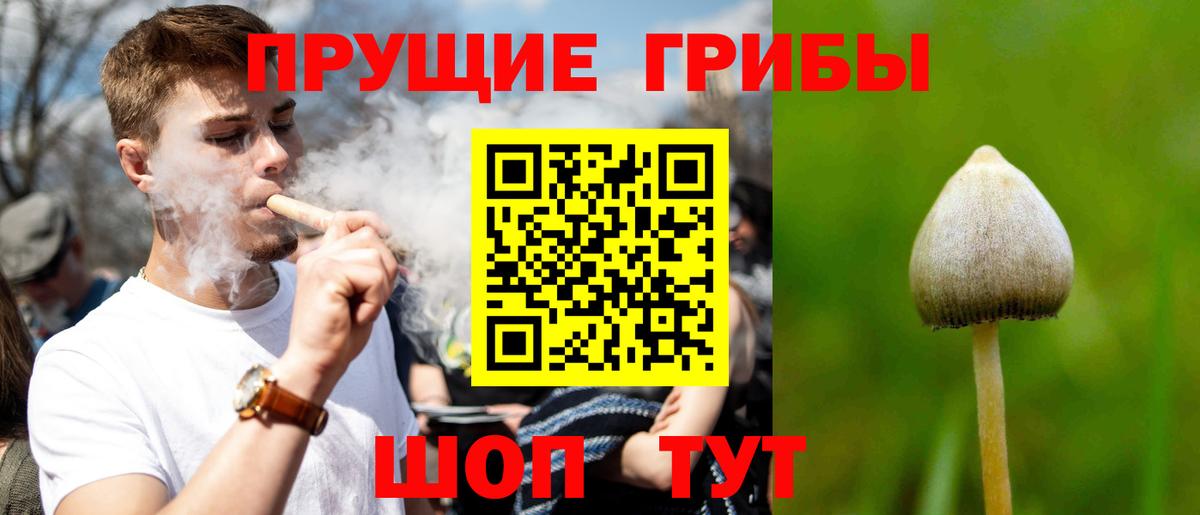 МЕТАДОН Новокубанск