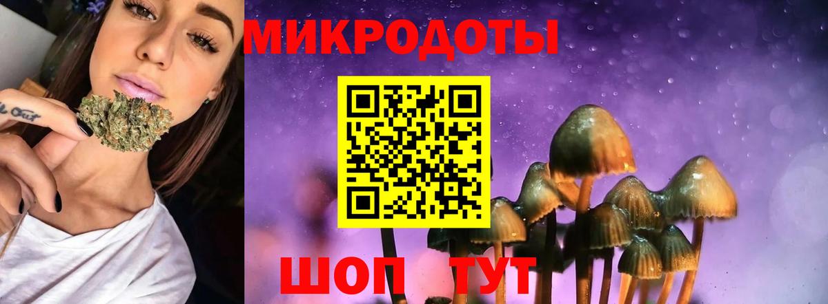 Галлюциногенные грибы мицелий  Вход с VPN  Новокубанск 