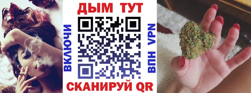 Бошки Шишки MAZAR  Новокубанск 